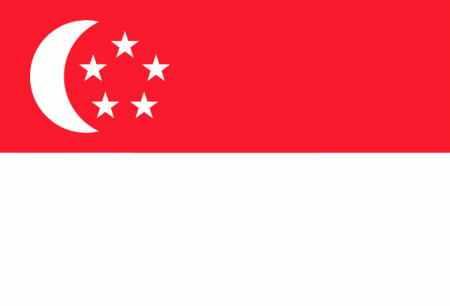 新加坡商务签证